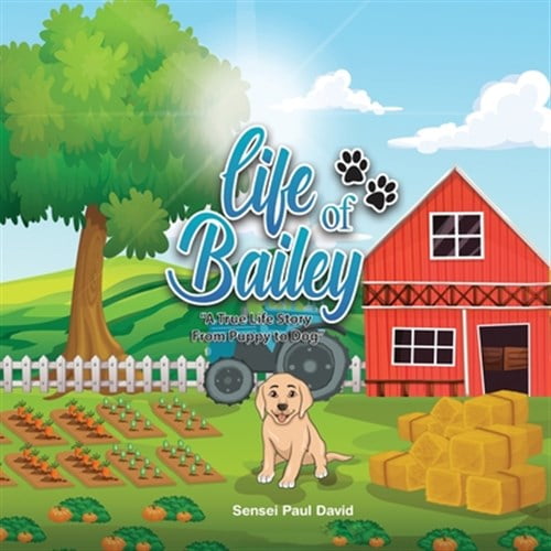 Pre-Owned Life of Bailey: Life of Bailey: A True Life Story From Puppy To Dog (Paperback)