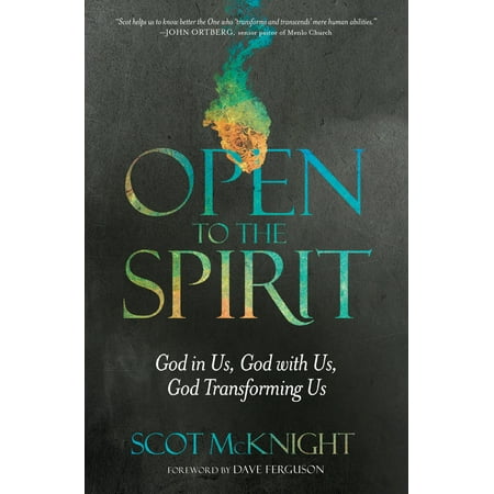ISBN 9781601426345 product image for Open to the Spirit : God in Us, God with Us, God Transforming Us | upcitemdb.com