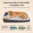 thumbnail image 4 of BOFNL Orthopedic Dog Beds with Pillow for Medium Sized Dogs, Thick Soft Pet Mattress, Washable & Non-Slip Bottom, up to 40 lbs, 32"x25"x7", Gray, 4 of 9