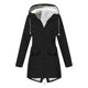 thumbnail image 5 of Puntoco Mujeres Casual Sólido Suelto Manga Larga Cuello en U tops Flash Picks Puntoco Puntoco-5686, 5 of 5