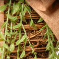 thumbnail image 2 of National Tree 23 inch Easter Wall Basket, 2 of 4