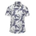 thumbnail image 1 of Camisa hawaiana de manga corta para hombre, corte holgado, estampado floral, camisa hawaiana con botones para playa y crucero tropical, 1 of 6
