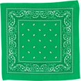 thumbnail image 3 of Amscan Bandana Party Accessory Green, 3 of 3