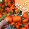 thumbnail image 2 of 5 Strings Fake Oranges, Mini Faux Oranges for Decoration Home, Artificial Oranges Citrus Decor with Leaves, Lifelike Simulation Orange Set Decorative Tangerine for Supermarket Photography Props, 2 of 3