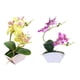 thumbnail image 1 of 2x Artificiales Bonsai Pntas En s Falsas Decoración De Oficina Con Jarrón púrpura perfecl Bonsai floral de orquídea sintética, 1 of 8