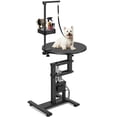 thumbnail image 2 of EDTara 24-Inch Height Adjustable Electric Grooming Table With Non-Slip Tabletop, Usb/Ac Power Supply, and Organizer for Small Pets, 2 of 6