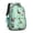 Dachshunds and Flowers, variant on Cartoon Pug and Heart Backpack for School,Cute School Bag,Schoolbag with Adjustable Shoulder Straps & Padded Back,16.9 Inch
