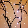 thumbnail image 5 of Paquete de 200 luces LED solares YONGSHENG 21 m Verde Impermeables 8 Modos, 5 of 5