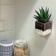 thumbnail image 5 of Maceta acrílica kusrkot Cactus Titular de hierbas Contenedor para colgar en la pared cuadrado, 5 of 8
