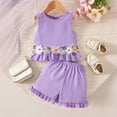 thumbnail image 2 of Soepste Girls Sets Girls 2 Piece Outfits Toddler Girls Summer Outfit Top And Shorts Clothing Set, 2 of 7