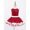 thumbnail image 3 of Zaldita Girls Ms Santa Clause Christmas Costume Shiny Sequins Tutu Dress Ballet Ice Skater Dancewear Red 4, 3 of 7