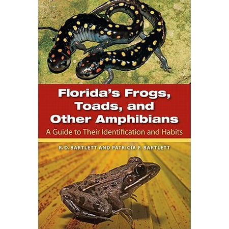 Florida S Frogs Toads And Other Amphibians A Guide To