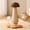 Brown Mushroom, variant on Cute Cat Scratching Post, Carrot Cat Scratcher Post with Durable Natural Wooden Turntable Toy and Catnip, 24'‘ H Carrot Shape Design Sisal Cat Tree Sisal Scratcher for Indoor Cats (Cloud Base)