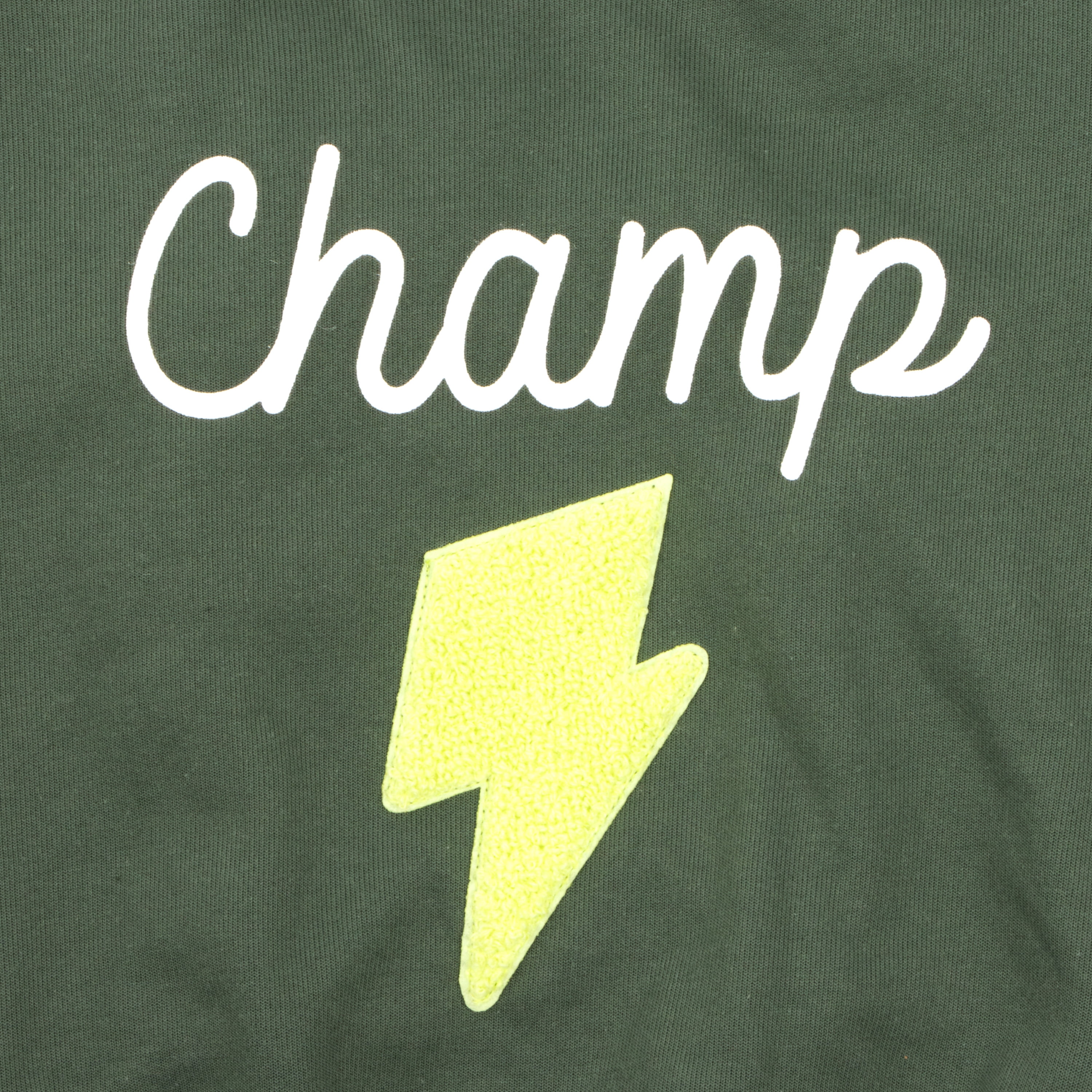 Oodles Champ Fall Lightning Bolt Dog Hoodie, Green, XL