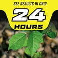 thumbnail image 5 of Ortho GroundClear Poison Ivy & Tough Brush Weed Killer 1.33 gal., 5 of 6