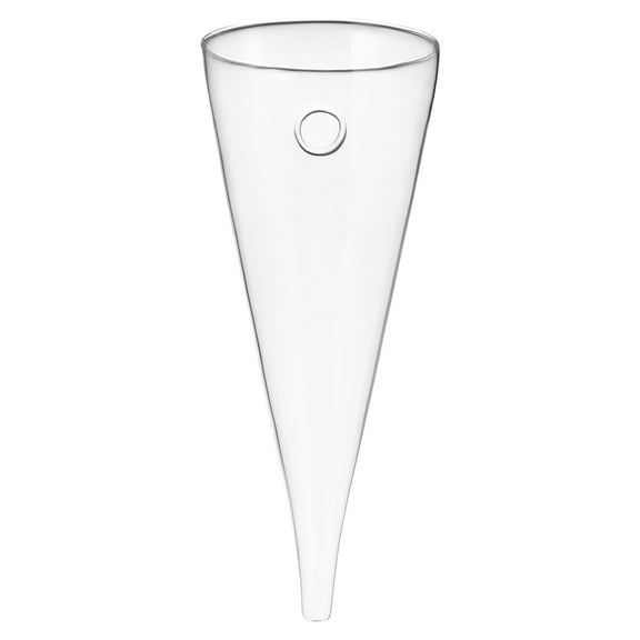 BESTONZON Cone Glass Wall Vase Transparent Borosilicate for Plant Flower Decor Handmade