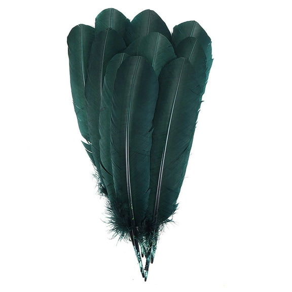 Zucker Feather Products Turkey Quills by Pound -Right Wing - 10-12" - Hunter Green