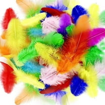 MODANU 200Pcs Assorted Colors Bulk Feathers, 3-5 inch Colorful Craft Rooster Feathers for DIY Crafts, Party Decorations, Wedding, Dream Catcher Supplies