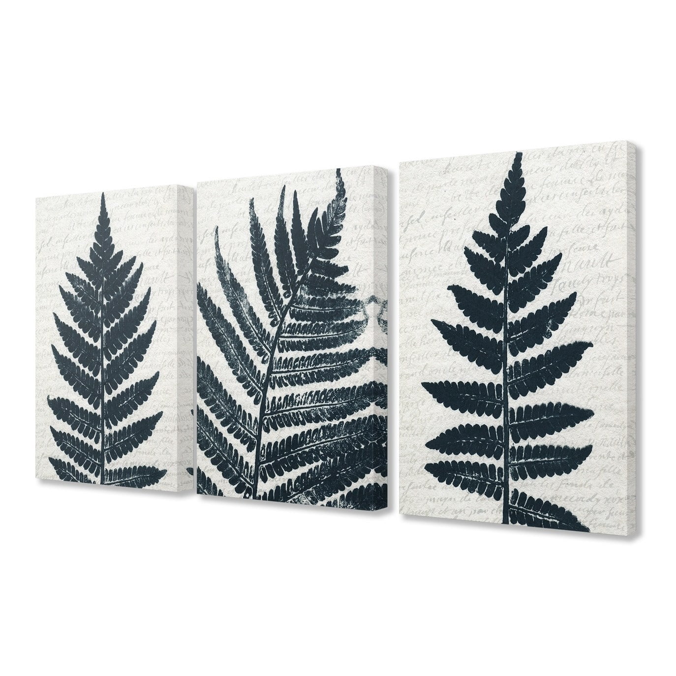 The Stupell Home Decor Bold Fern Pressing Prints on Collaged Paper Canvas Wall Art, 3pc, each 16 x 20