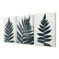 thumbnail image 2 of The Stupell Home Decor Bold Fern Pressing Prints on Collaged Paper Canvas Wall Art, 3pc, each 16 x 20, 2 of 6