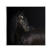 Stupell Industries Elegant Black Stallion Animals & Insects Photography Unframed Art Print Wall Art, 12 x 12
