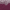 Purple Floral, variant on Mainstays 5-Piece Blue Floral Comforter Set, Full/Queen
