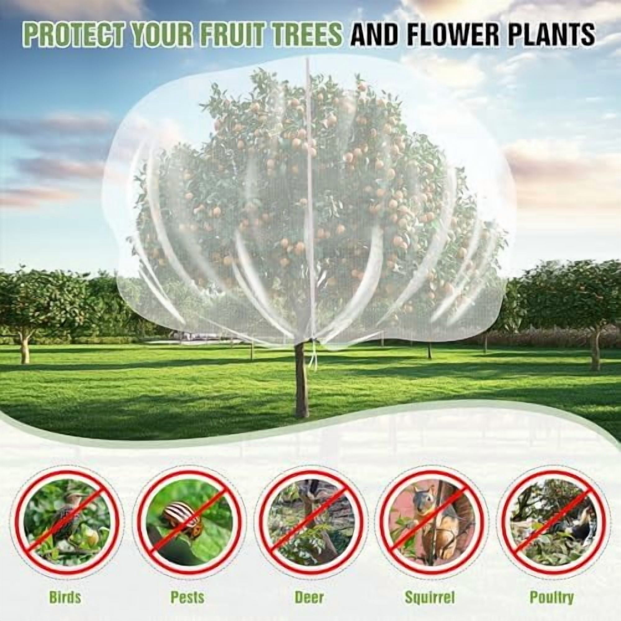 10 X 10FT Large Fruit Tree Netting, Tree Nets for Fruit Trees with Zipper and Drawstring, Insect Netting Barrier for Garden Blueberry Bushes Cherry Peach Apple Protection from Squirrels Birds Pests