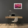 thumbnail image 3 of Engelbrecht, Lisa S. 14x11 White Modern Wood Framed Museum Art Print Titled - Bougainvillea in tropical garden, 3 of 4