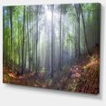 thumbnail image 2 of Rayons du Soleil Matinaux en Carpathien, 2 of 3