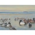 thumbnail image 2 of Archibald Thorburn 14x11 Gold Ornate Wood Frame and Double Matted Museum Art Print Titled - Ducks Along the Shoreline (1921), 2 of 4