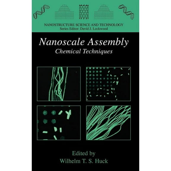 Nanostructure Science and Technology Nanoscale Assembly: Chemical Techniques, (Hardcover)