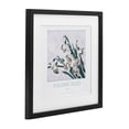 thumbnail image 2 of Stupell Industries Traditional Paradise Alley White Spring Blooms Black Framed Print Under Glass, 13 x 13, by Jadei Graphics, 2 of 8