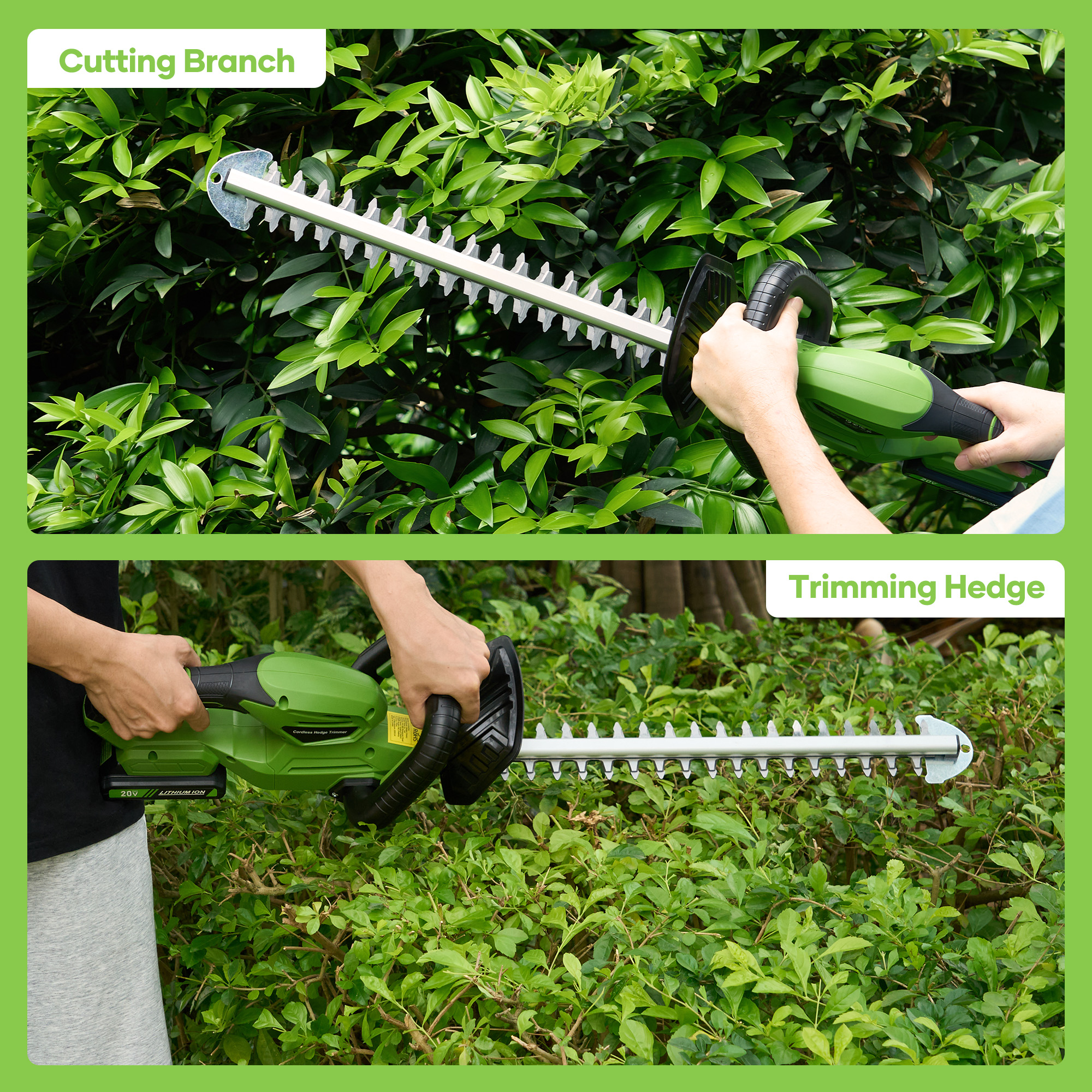 TACKLIFE 20V 19In Cordless Hedge Trimmer with 2.0Ah Battery & Charger, Electric Hedge Trimmer with SK5 Durable Dual-Action Blades, for Bush & Shrub Cutting, Trimming, Pruning, Portable,Green