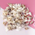thumbnail image 2 of HLONK Mix Style Natural for Shells Small Sea for Shells Ocean Beach Spirals Seashells Craft Charm Beach Theme Party Wedding, 2 of 19