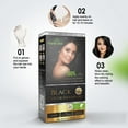 thumbnail image 3 of (4 pack) Herbishh Black Hair Color Shampoo for Gray Hair, Hair Dye Shampoo 3 in 1, 100% Gray Coverage, Permanent Hair Color for Men & Women, Ammonia-free, 400 ml, 3 of 7