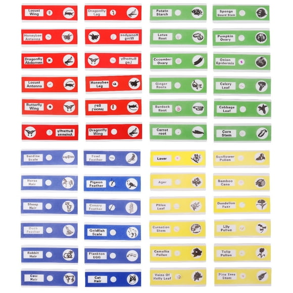 MasteelfCA Uetek 48 Pcs Échantillons en Plastique pour Enfants, Microscopes Préparés, Glissades d'Animaux, Insectes, Plantes, Fleurs pour Microscopes Stéréo (une Couleur par Boîte, Jaune/rouge/vert/bleu)