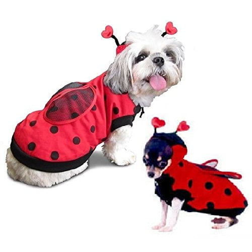 Casual Canine  LUCKY BUG Lady Bug Dog Pet Halloween Costume 