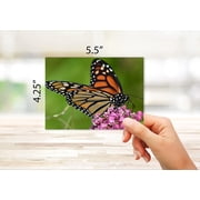 Small World Greetings Monarch Butterfly Note Cards 12 Count-Blank Inside with White Envelopes-A2 Size 5.5 x 4.25-Summer Greeting Cards-Nature Stationery-Birthday, Thank You, and Much More