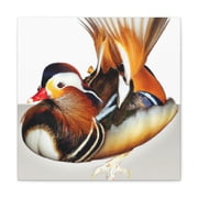 Mandarin Duck Reflection - Canvas