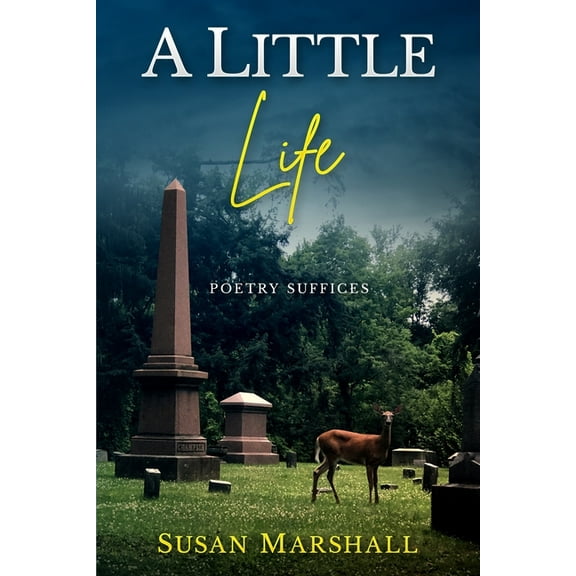 A Little Life, (Paperback)