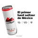thumbnail image 3 of Bebida alcohólica preparada Fitzer hard seltzer sabor frutos rojos 355 ml, 3 of 4