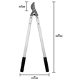 thumbnail image 5 of Zenport MV26 Professional Vine and Tree Lopper, 26-Inch Long, White, 5 of 5