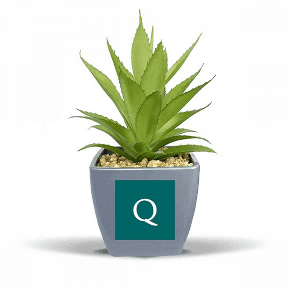 Currency Symbol Guatemala Quetzal GTQ Fake Pineapple Flower Pot Vase Mini Decor