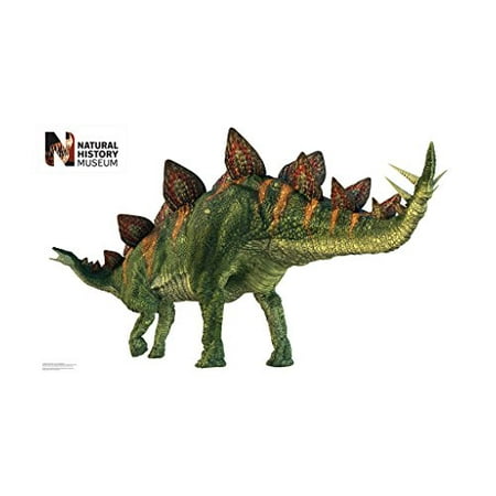 UPC 082033042011 product image for Stegosaurus | upcitemdb.com
