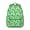 Green-37, variant on Chic Paisley Pattern Students Backpack Colorful and Artistic Bohemian Vintage School Bag with Floral Ethnic and Retro Pattern
