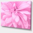 thumbnail image 2 of Fleurs Roses Abstraites avec Pétales - Impression sur Toile Florale, 2 of 3