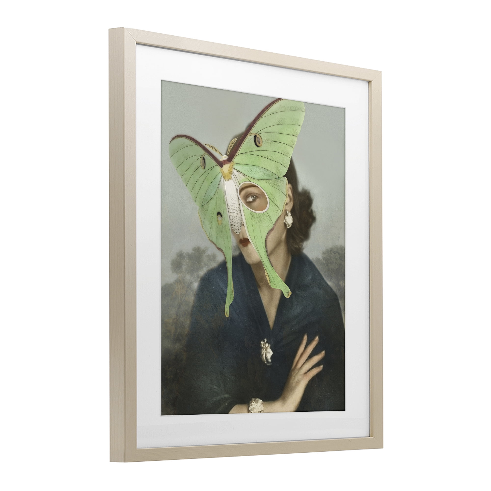 Stupell Industries Naturalist Portrait with Moth Birch Framed Print Under Glass, design by Victoria Barnes