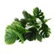 thumbnail image 4 of BEADCEST Planta Artificial Monstera Hojas Para Decorar Comedor Estudio Y Más, 4 of 8