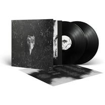 Bees Made Honey in the Vein Tree - Aion - Music & Performance - Vinyl