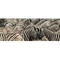 thumbnail image 2 of Kaveney, Wendy 14x8 White Modern Wood Framed Museum Art Print Titled - Namibia, Etosha NP A herd of zebras, 2 of 4